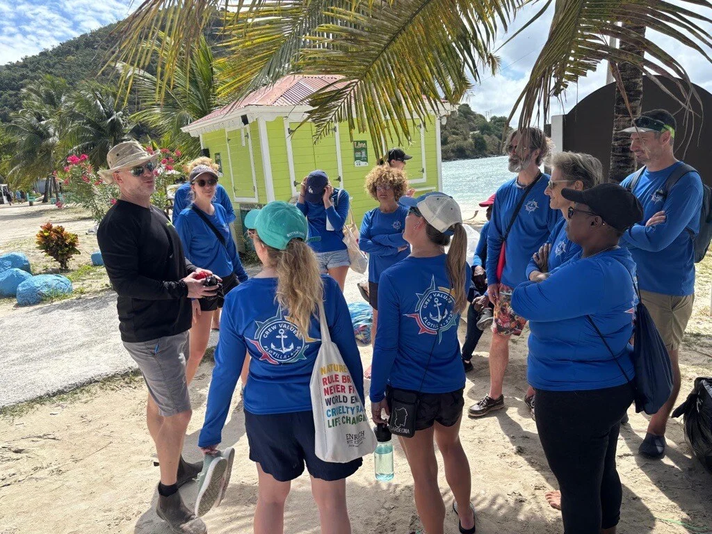 BVI Beach clean